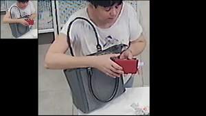 Sprawczyni stojąca przy sklepowej ladzie w ręce trzyma portfel.