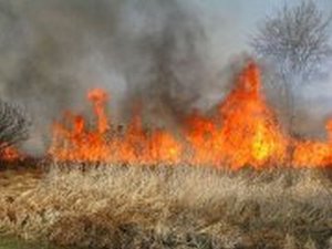 Fotografia przedstawia łąkę na której pali się trawa