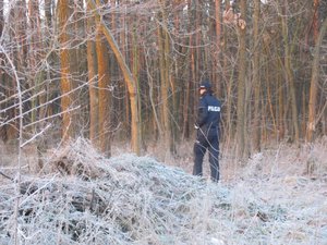 Na zdjęciu umundurowana policjantka podczas sprawdzania terenów leśnych. W tle drzewa. Na pierwszym planie oszroniona trawa i  gałęzie.