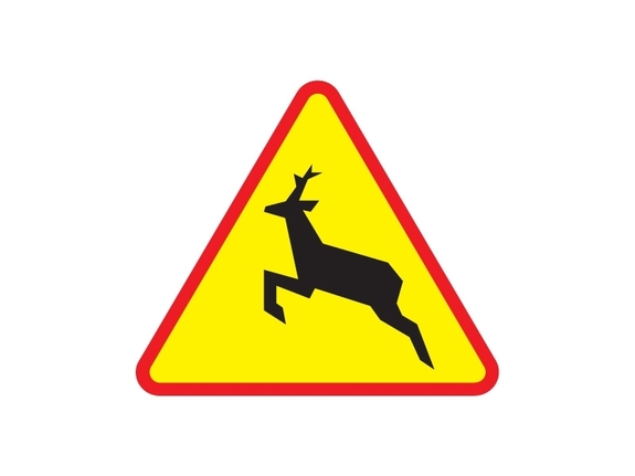 Znak drogowy A-18b &quot;Uwaga dzikie zwierzęta na drodze&quot;