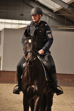 Umundurowani policjanci na koniach podczas atestacji
