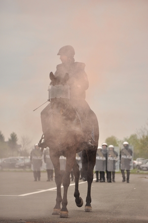 Umundurowani policjanci na koniach podczas atestacji na placu.